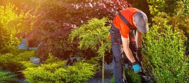5 conseils avisés pour réaliser l’aménagement paysager de votre nouvelle propriété